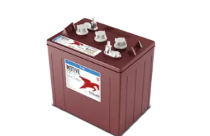 T105 Golf Cart Battery